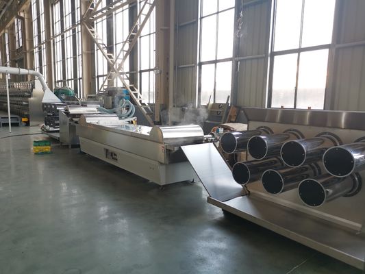 kaufen extruder-Maschinen-Garten-Dekoration 55kw 6400 Dtex Nylon online manufacture